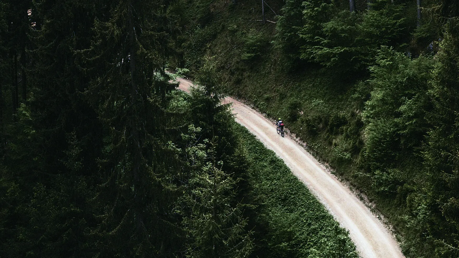 MEHR WALD DAZWISCHEN